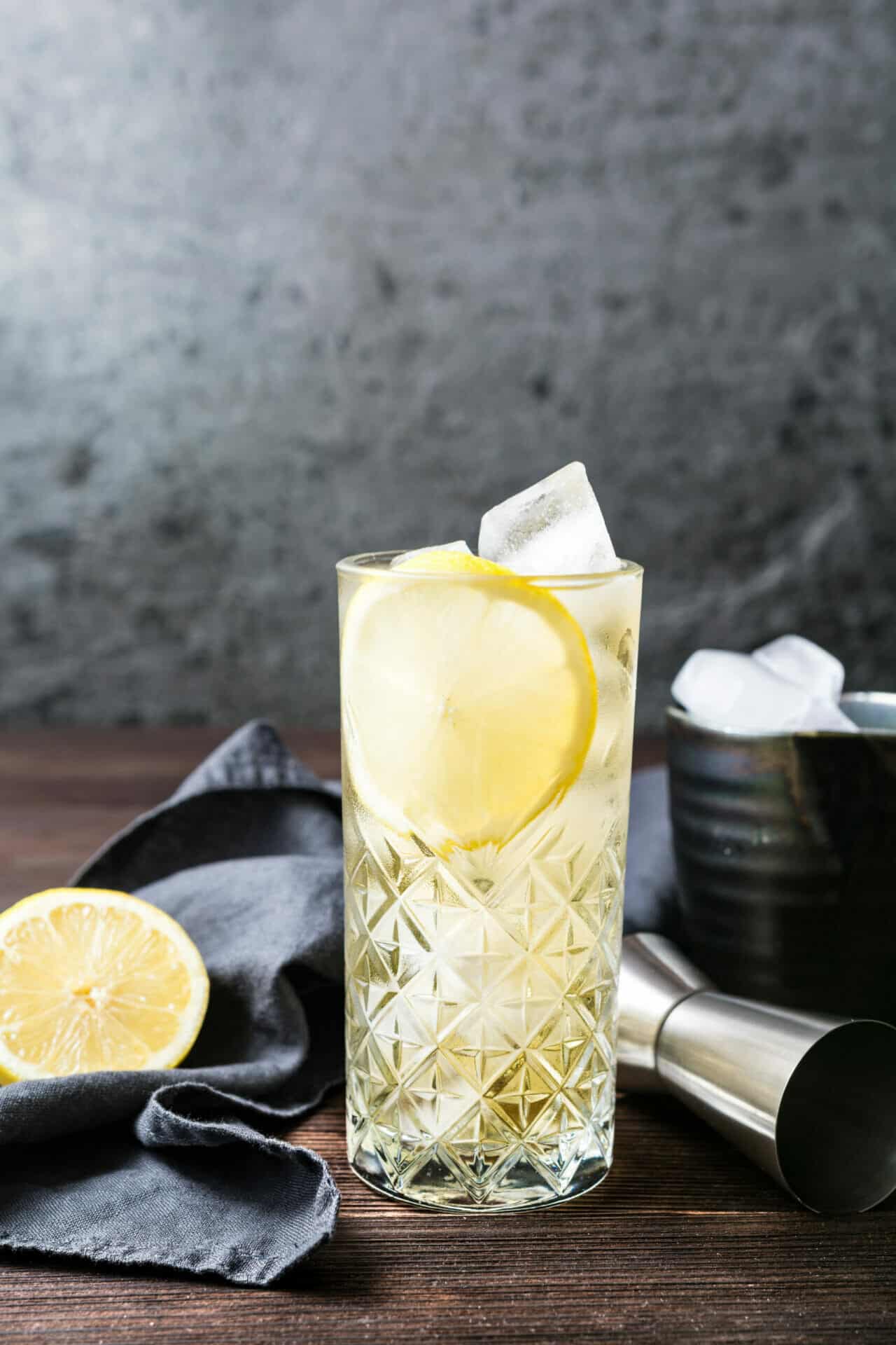 Whiskey Highball Cocktail Recipe Twist And Toast 2482