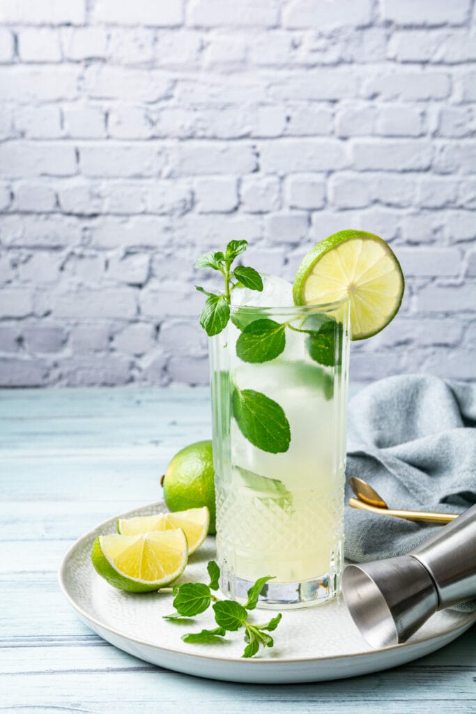 Vodka Mojito Cocktail Recipe featured image front shot
