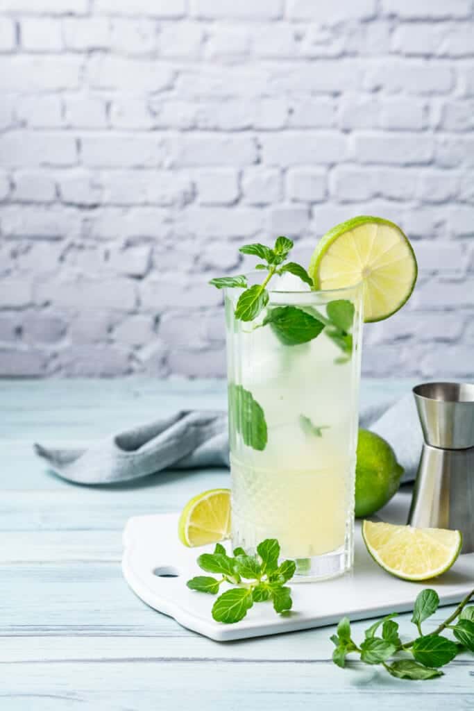 Vodka Mojito Cocktail Recipe front shot featured image