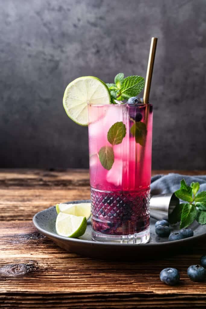 Blueberry Mojito Recipe