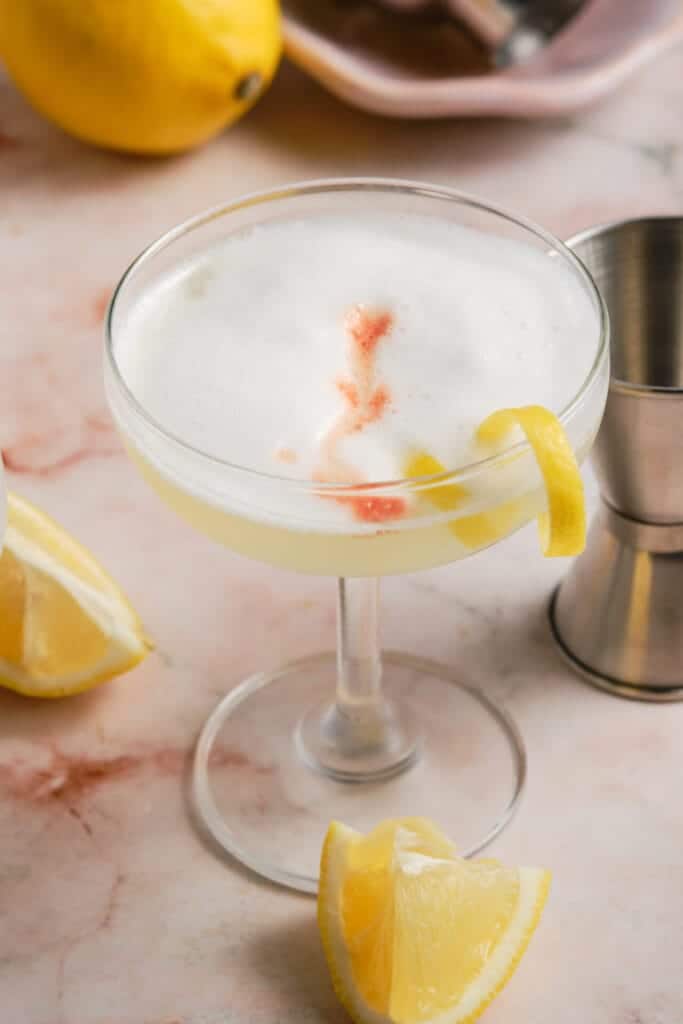 Gin Sour Cocktail