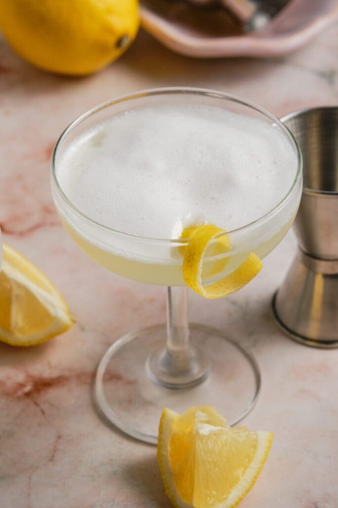 Gin Sour Cocktail