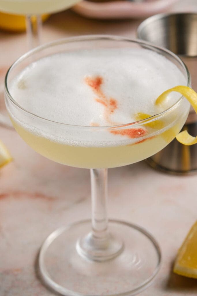 Gin Sour Cocktail