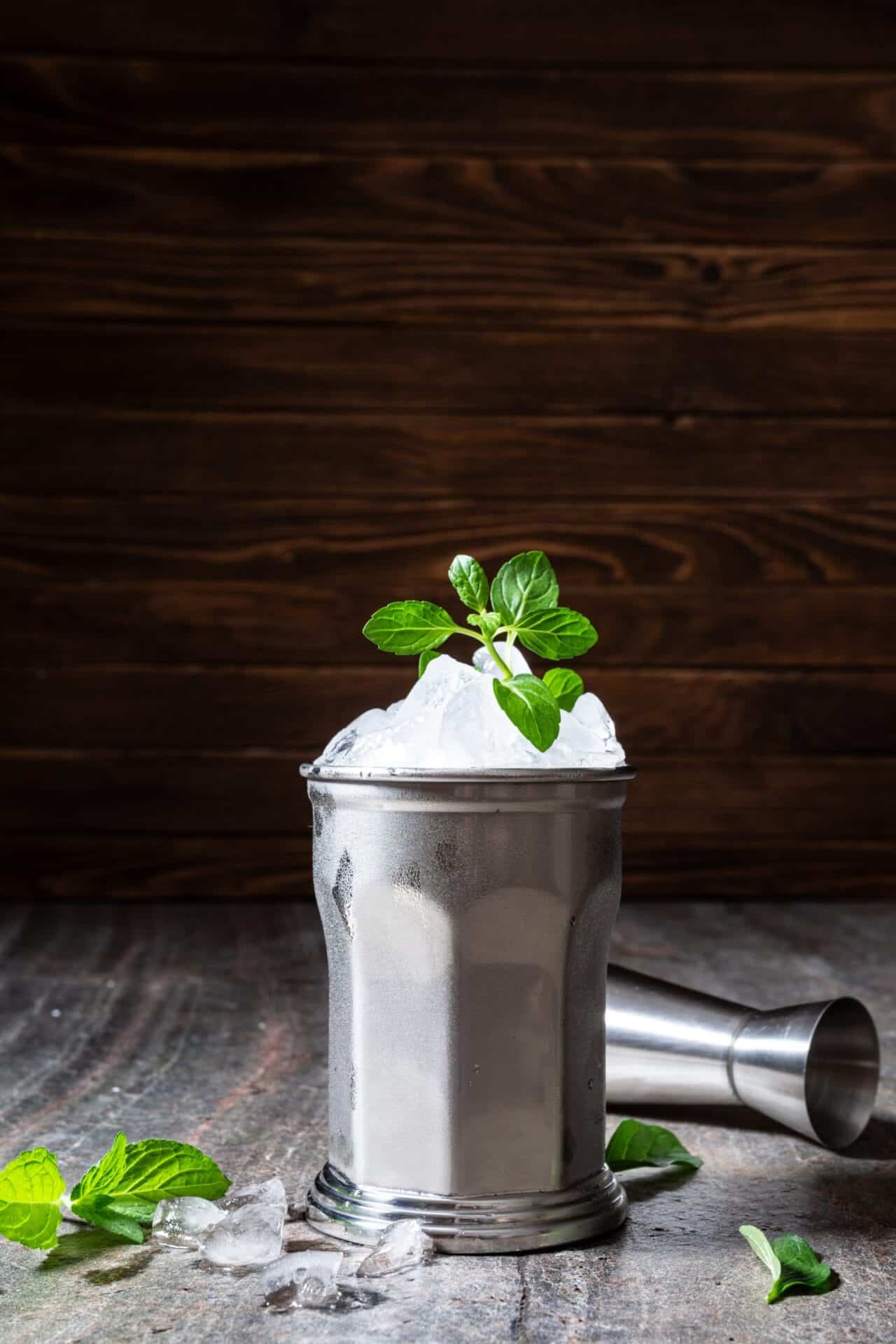 Gin Mint Julep