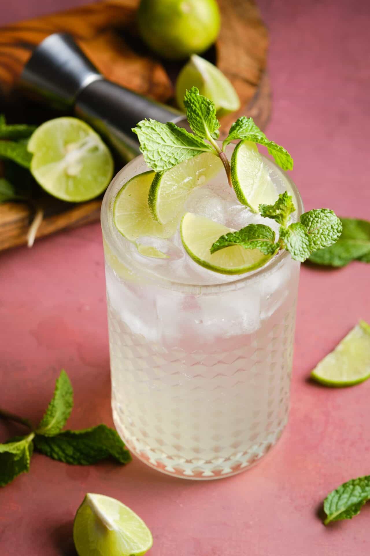 Gin Mojito