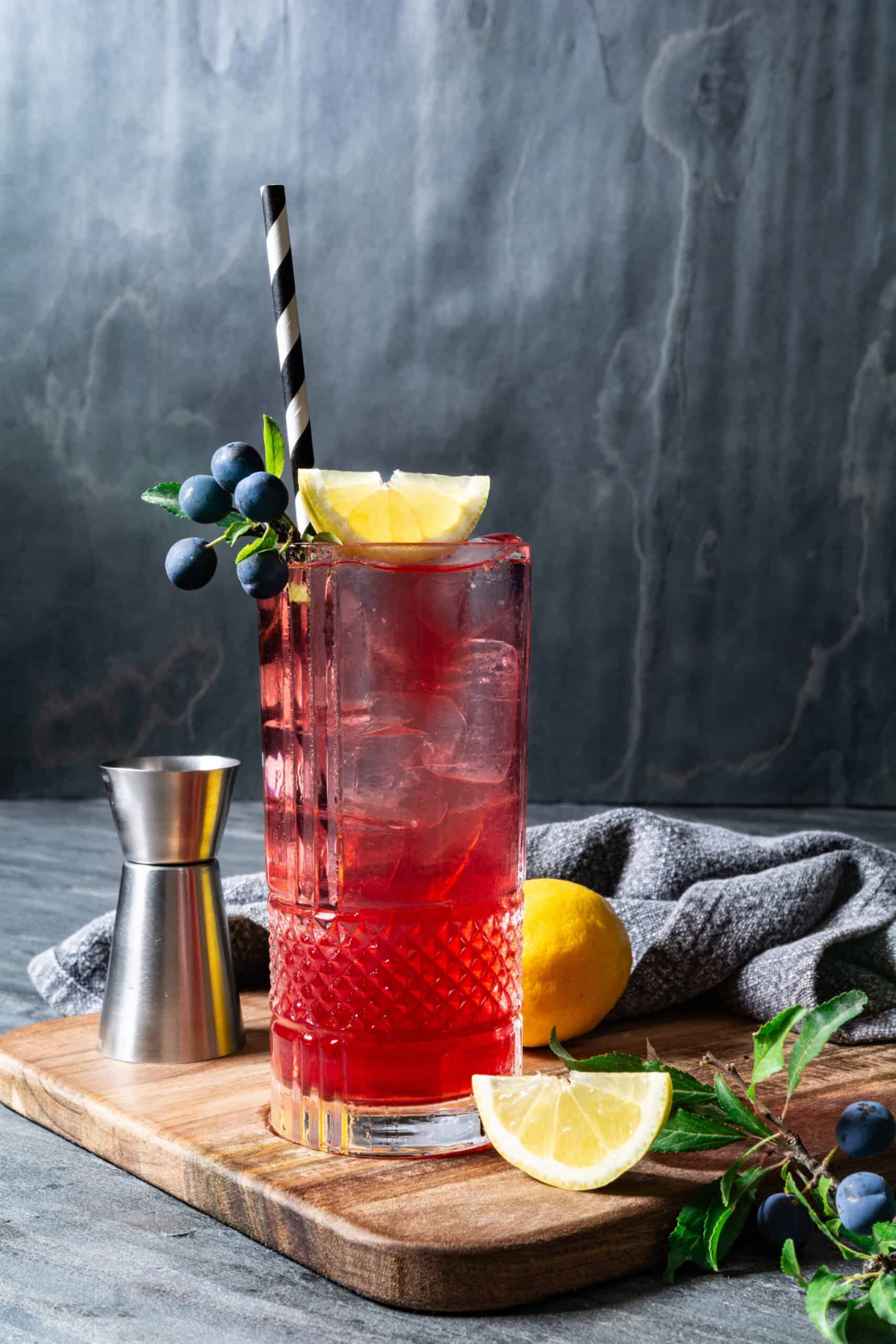 Sloe Gin Fizz