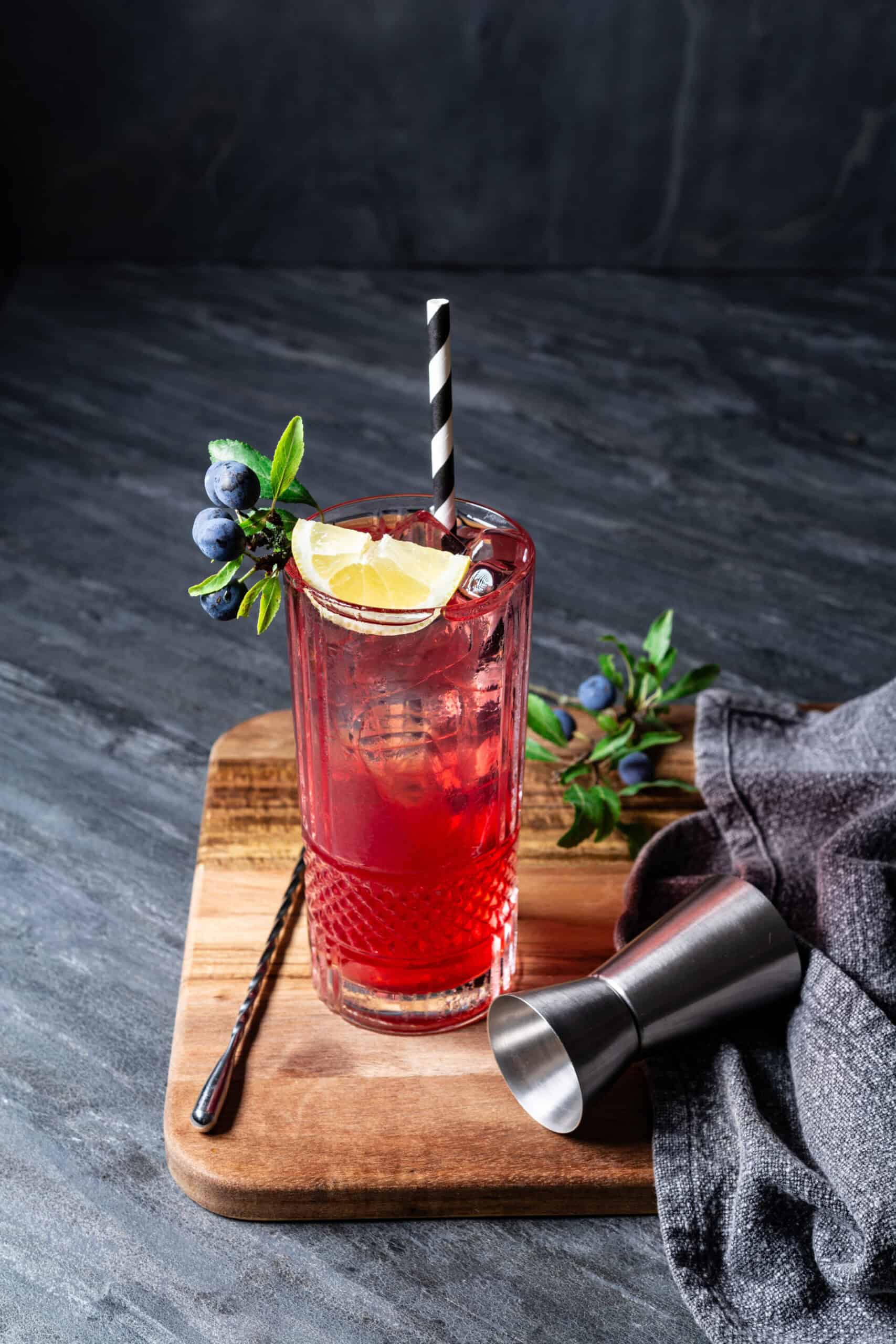 Sloe Gin Fizz