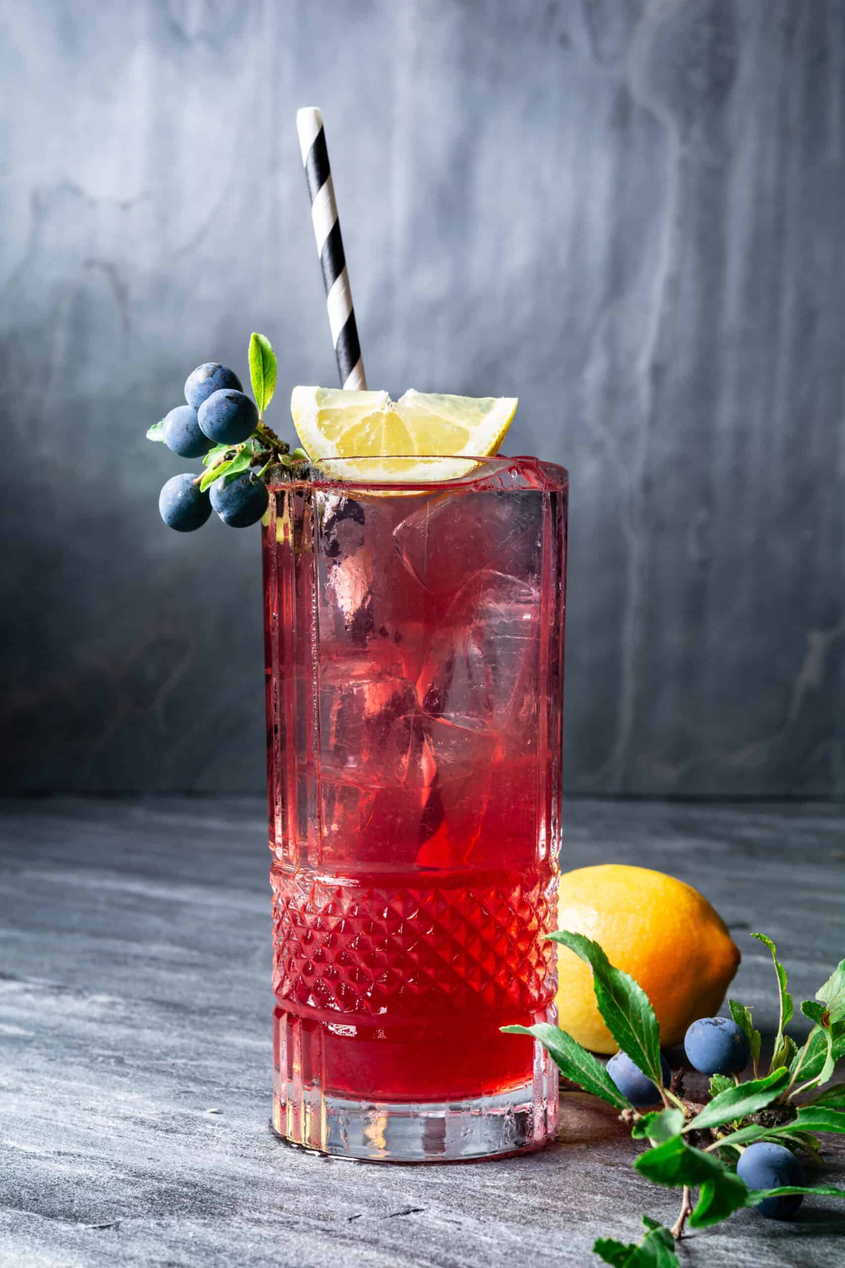 Sloe Gin Fizz