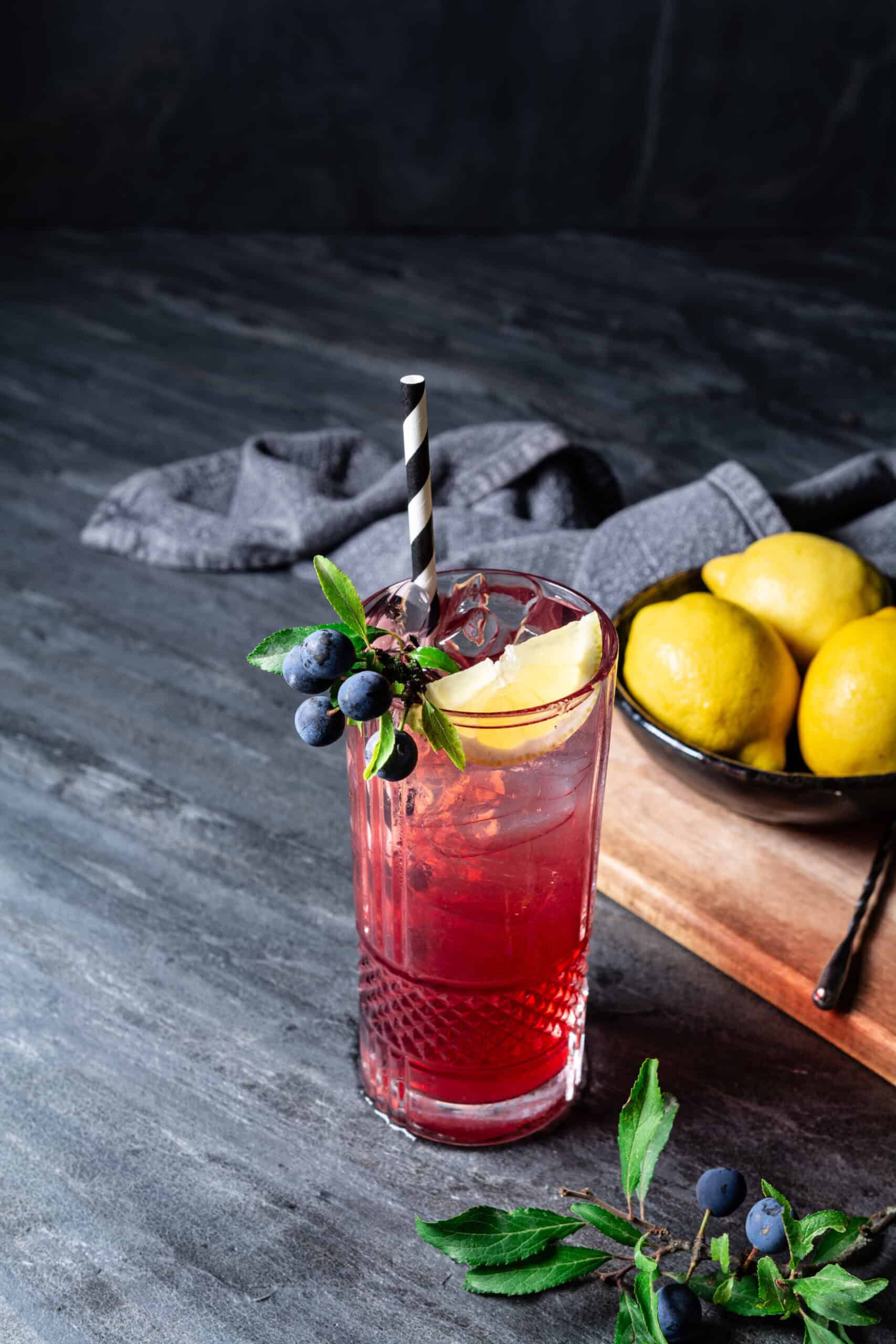 Sloe Gin Fizz