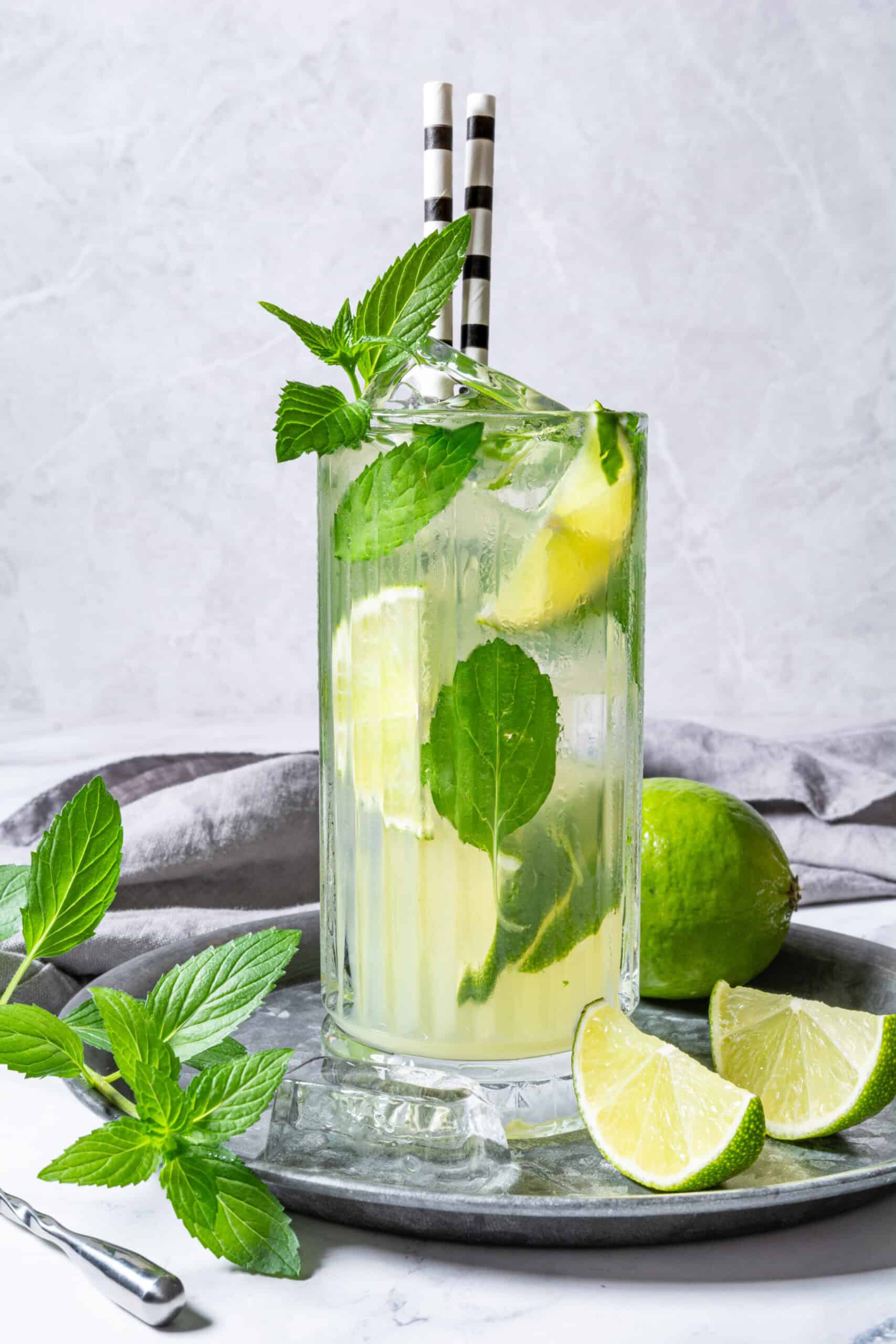 Tequila Mojito