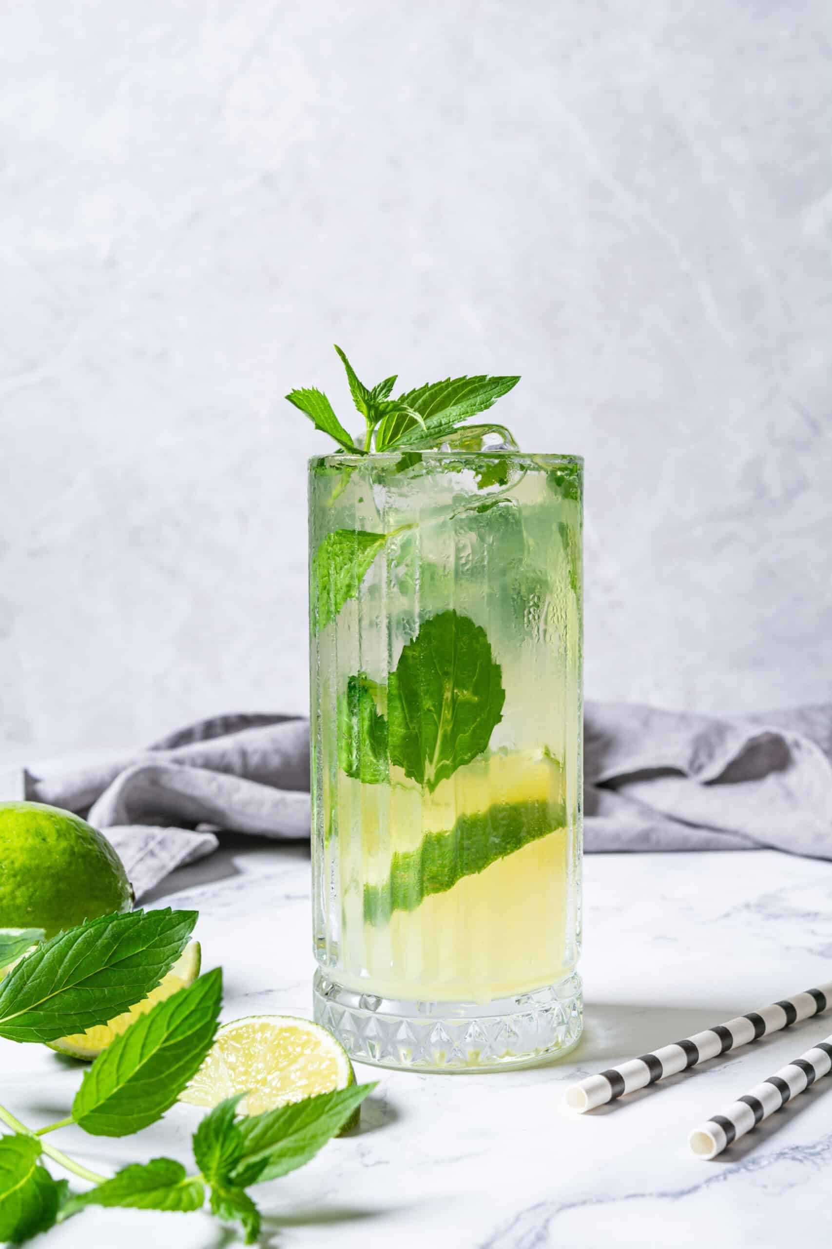 Tequila Mojito