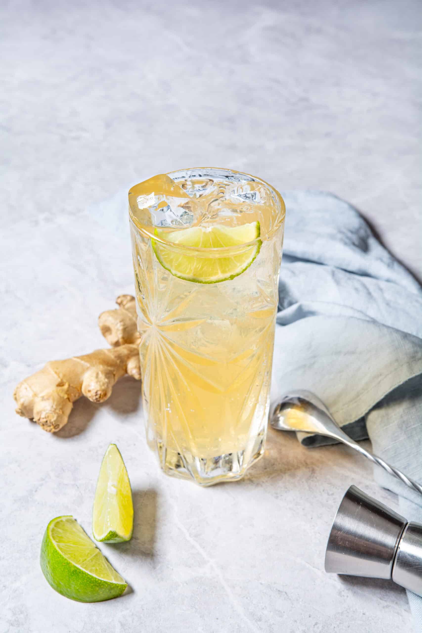 Whiskey Ginger Drink